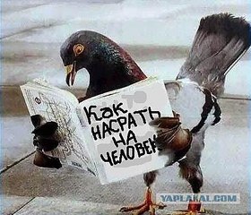 click for enlarge 450 X 385  45.1 Kb picture