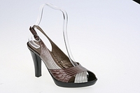 click for enlarge 314 X 209 29.6 Kb picture