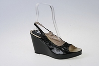 click for enlarge 314 X 209 28.8 Kb picture