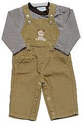 click for enlarge 167 X 250 10.3 Kb picture