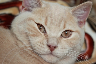 click for enlarge 1024 X 683 325.2 Kb picture