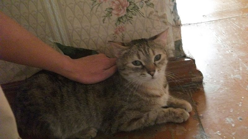 click for enlarge 1920 X 1080 906.7 Kb picture