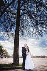 click for enlarge 400 X 600 186.1 Kb picture