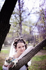 click for enlarge 400 X 600 117.1 Kb picture
