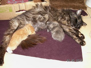 click for enlarge 604 X 453 67.0 Kb picture