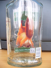 click for enlarge 1920 X 2560 426.6 Kb picture