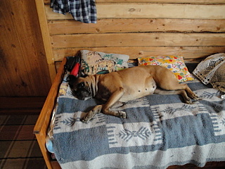 click for enlarge 640 X 480 142.8 Kb picture