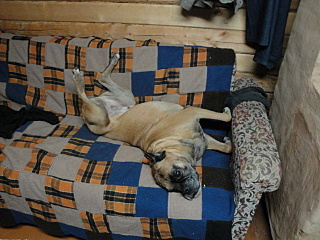 click for enlarge 640 X 480 142.7 Kb picture