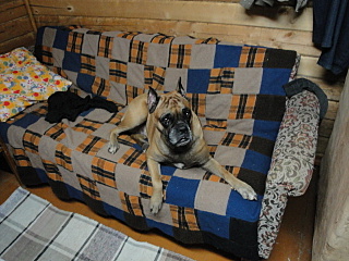 click for enlarge 640 X 480 141.1 Kb picture