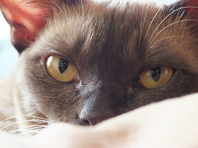 click for enlarge 800 X 600 105.5 Kb picture
