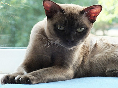 click for enlarge 800 X 600 113.6 Kb picture
