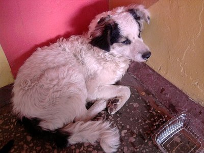 click for enlarge 604 X 453  53.5 Kb picture