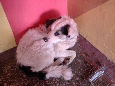 click for enlarge 604 X 453  48.9 Kb picture