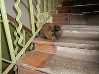 click for enlarge 1920 X 1440 687.3 Kb picture