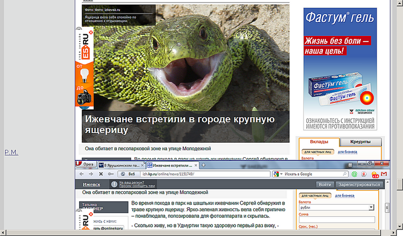 click for enlarge 1024 X 600 731.7 Kb picture