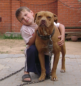 click for enlarge 666 X 708 245.6 Kb picture