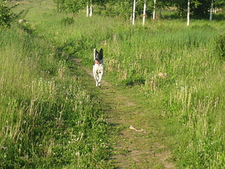 click for enlarge 1920 X 1440 861.0 Kb picture