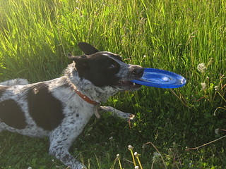 click for enlarge 1920 X 1440 814.5 Kb picture