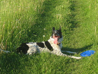 click for enlarge 1920 X 1440 732.8 Kb picture