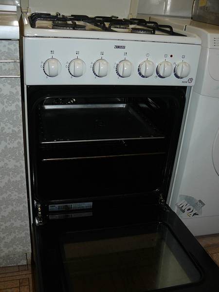 click for enlarge 1536 X 2048 170.2 Kb picture