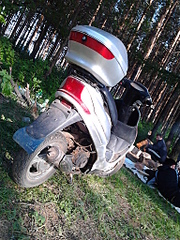 click for enlarge 1536 X 2048 570.2 Kb picture