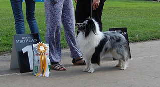 click for enlarge 1024 X 557 151.2 Kb picture