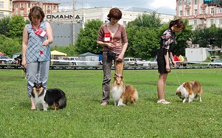 click for enlarge 1024 X 635 248.5 Kb picture