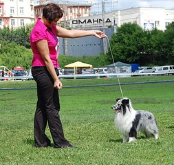 click for enlarge 811 X 768 207.0 Kb picture