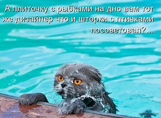 click for enlarge 600 X 440  61.8 Kb picture