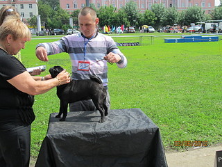 click for enlarge 1920 X 1440 871.9 Kb picture