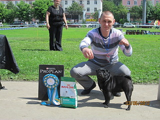 click for enlarge 1920 X 1440 877.3 Kb picture