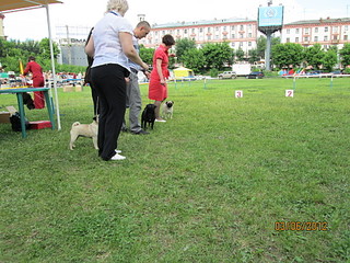 click for enlarge 1920 X 1440 972.2 Kb picture