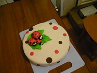 click for enlarge 1920 X 1440 128.9 Kb picture