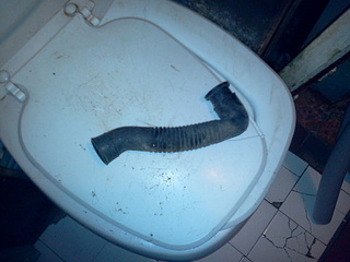 click for enlarge 1920 X 1440 617.3 Kb picture