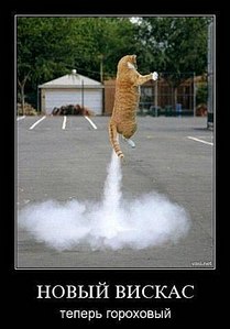 click for enlarge 335 X 479 28.2 Kb picture