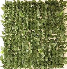 click for enlarge 278 X 288 24.4 Kb picture