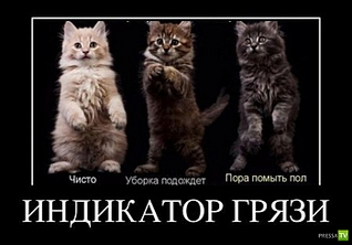 click for enlarge 700 X 487  93.9 Kb picture
