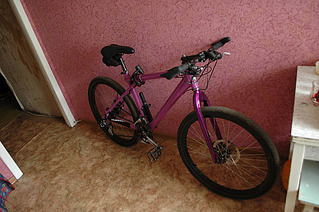 click for enlarge 1919 X 1276 802.4 Kb picture