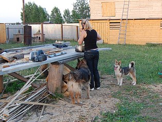 click for enlarge 1011 X 768 252.1 Kb picture