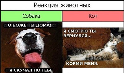 click for enlarge 604 X 355 53.3 Kb picture