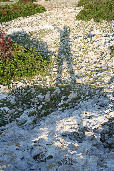 click for enlarge 533 X 800 638.1 Kb picture