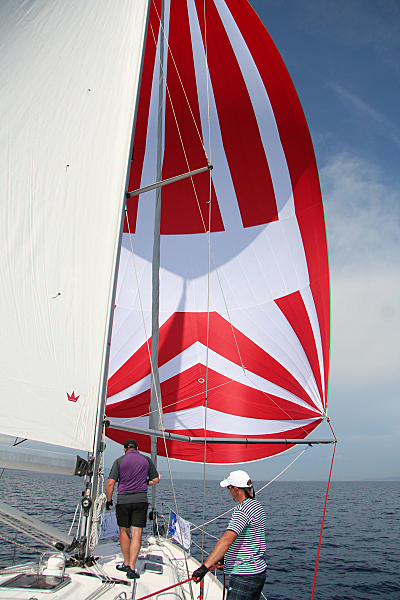 click for enlarge 800 X 1200 682.5 Kb picture