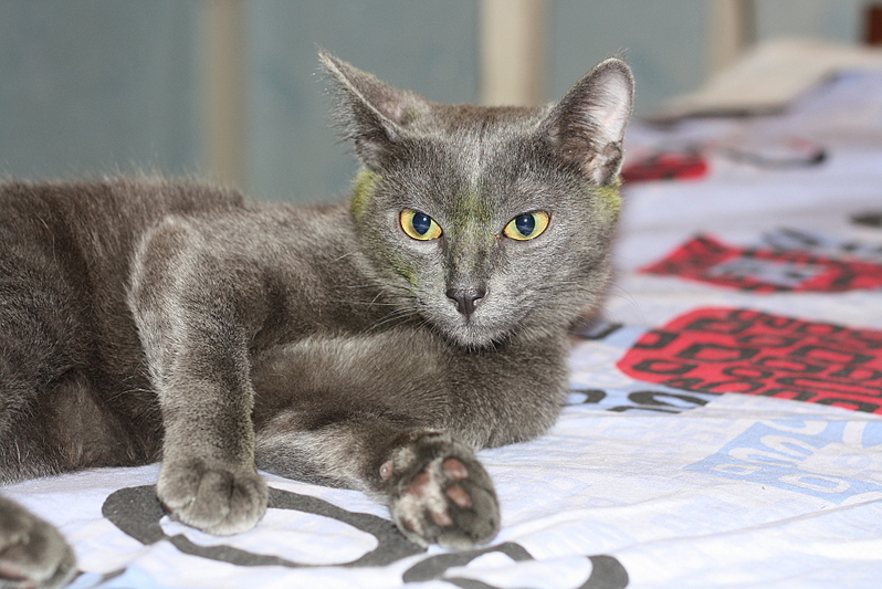 click for enlarge 1920 X 1281 194.4 Kb picture