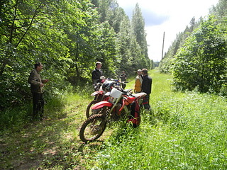 click for enlarge 1920 X 1440 532.1 Kb picture