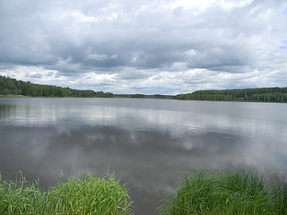 click for enlarge 1920 X 1440 171.7 Kb picture