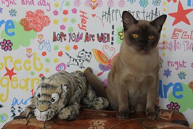 click for enlarge 1282 X 855 153.0 Kb picture