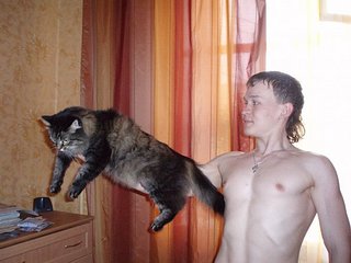 click for enlarge 604 X 453 42.9 Kb picture