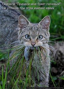 click for enlarge 535 X 750 73.4 Kb picture