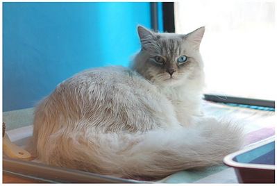 click for enlarge 595 X 400 81.3 Kb picture