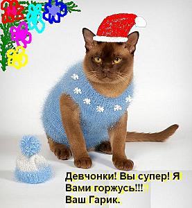 click for enlarge 554 X 600 59.5 Kb picture